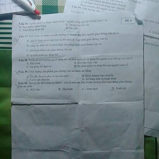 Hướng dẫn chuyên môn